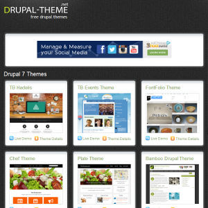 Drupal-Theme
