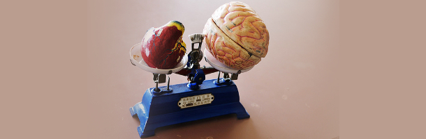 Trouver l'équilibre entre raison et passion