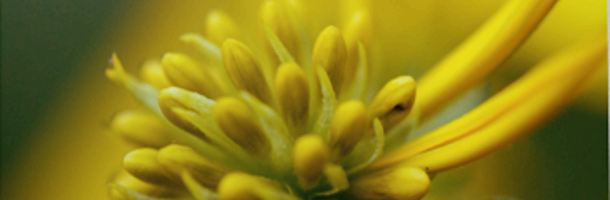 Comprendre et utiliser les CSS : Le positionnement par bloc