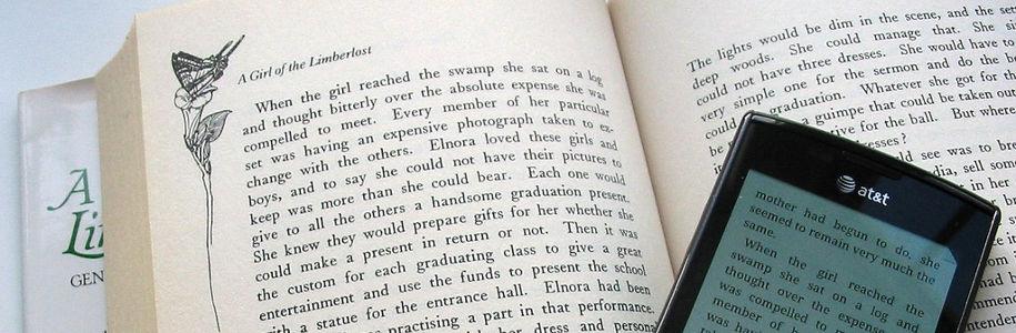 Fracture numérique, fracture politique