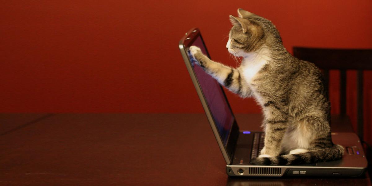 8 liens idiots sur lesquels tu ne peux pas t'empêcher de cliquer. Le 7ème est incroyable.