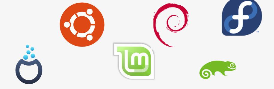 Découvrir Linux : un aperçu des distributions les plus populaires