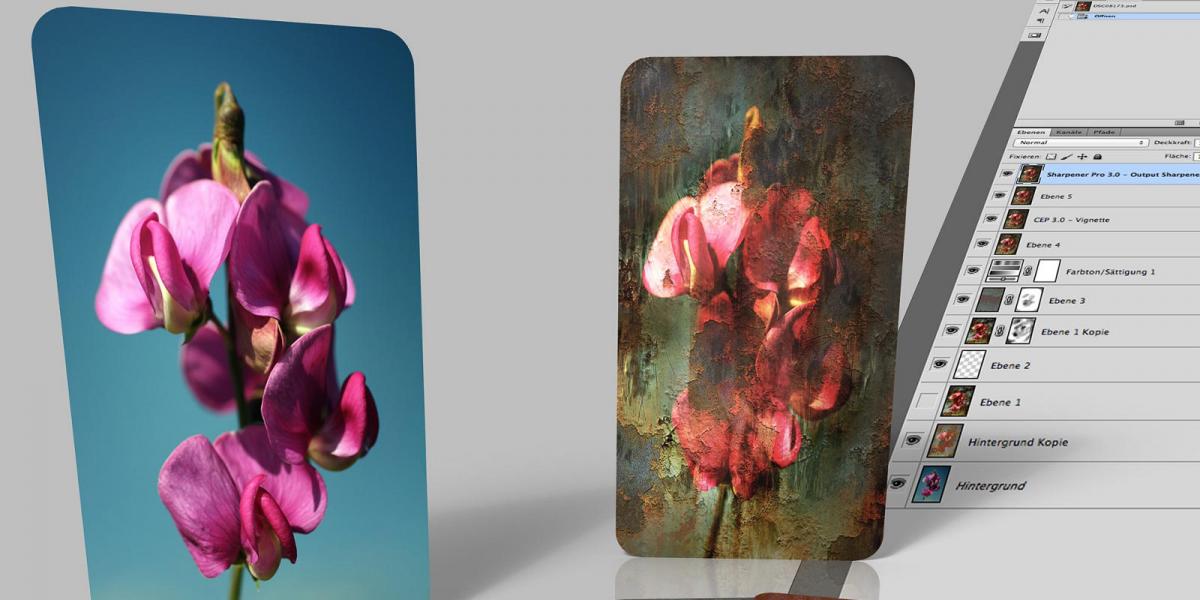 JPEG, GIF, PNG : quand utiliser les différents formats d'images ?