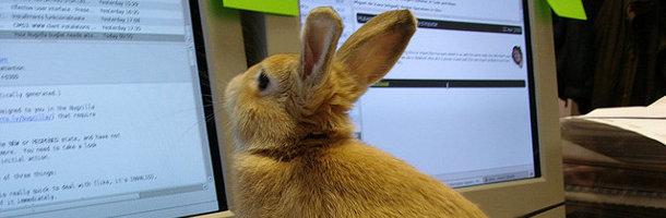 Améliore la lecture sur ton écran d'ordinateur