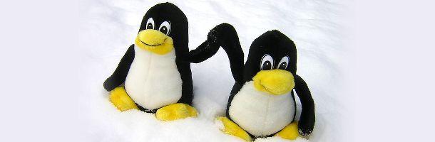 N'aie pas peur de Linux ! Tout le nécessaire pour remplacer Windows