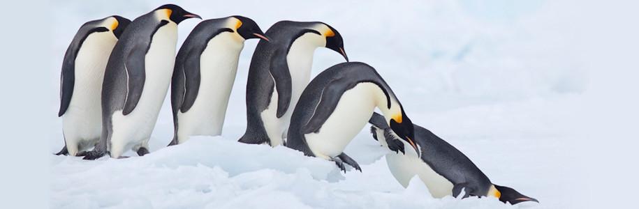 De Windows XP à Linux, histoire de la conversion d'un utilisateur débutant [chapitre I]