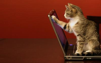 8 liens idiots sur lesquels tu ne peux pas t'empêcher de cliquer. Le 7ème est incroyable.