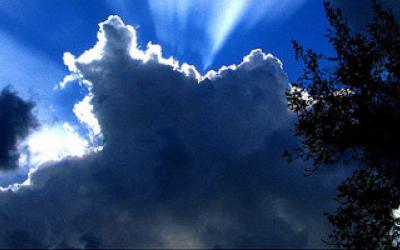 Changement climatique