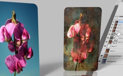 JPEG, GIF, PNG : quand utiliser les différents formats d'images ?